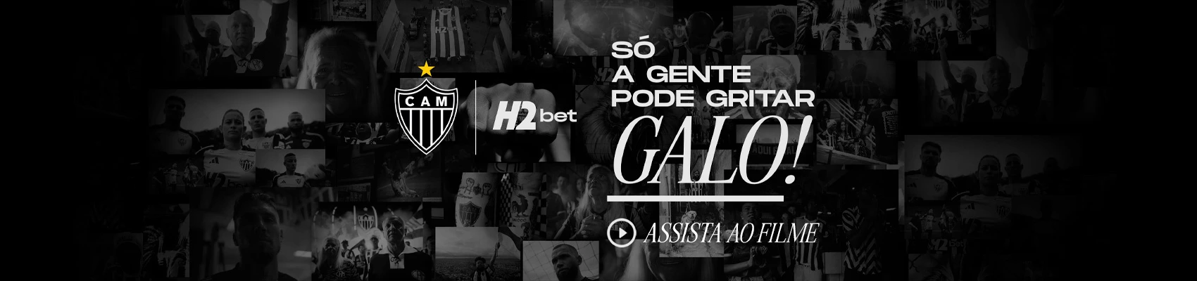 Bets vip net
