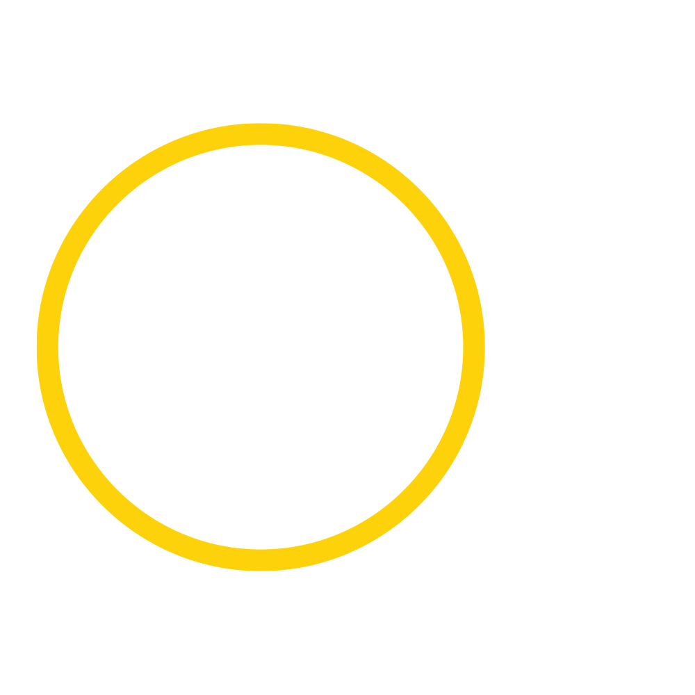 Campeão paulista 2023 - Did777